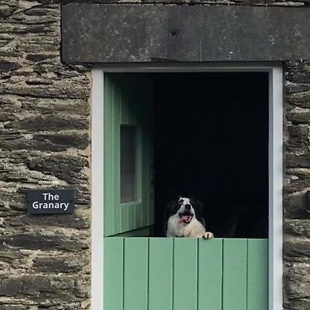 Dog Friendly Cottage, Geufron Farm Near Tywyn Bryn-crug المظهر الخارجي الصورة