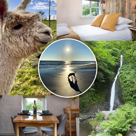 Dog Friendly Cottage, Geufron Farm Near Tywyn Bryn-crug المظهر الخارجي الصورة
