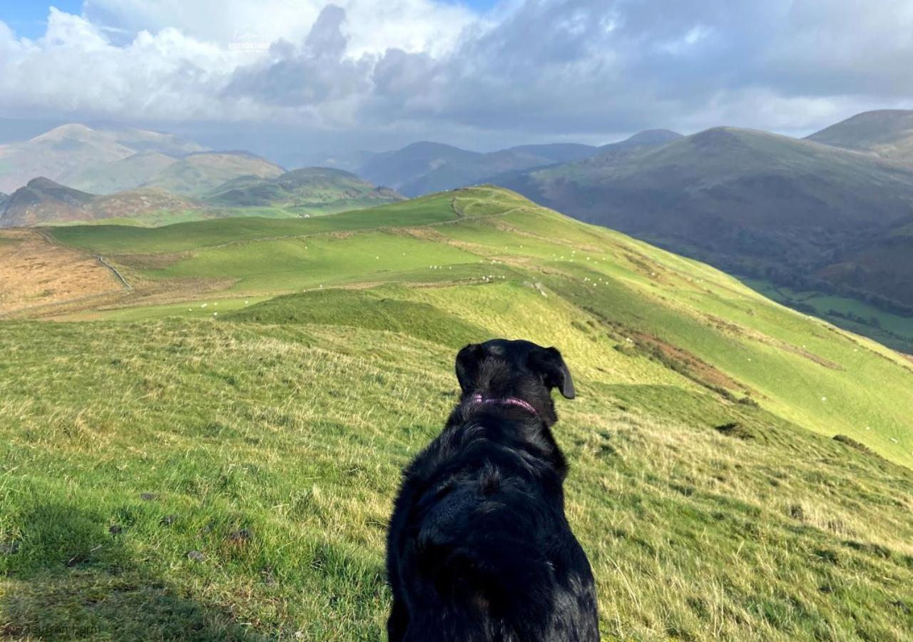 Dog Friendly Cottage, Geufron Farm Near Tywyn Bryn-crug المظهر الخارجي الصورة