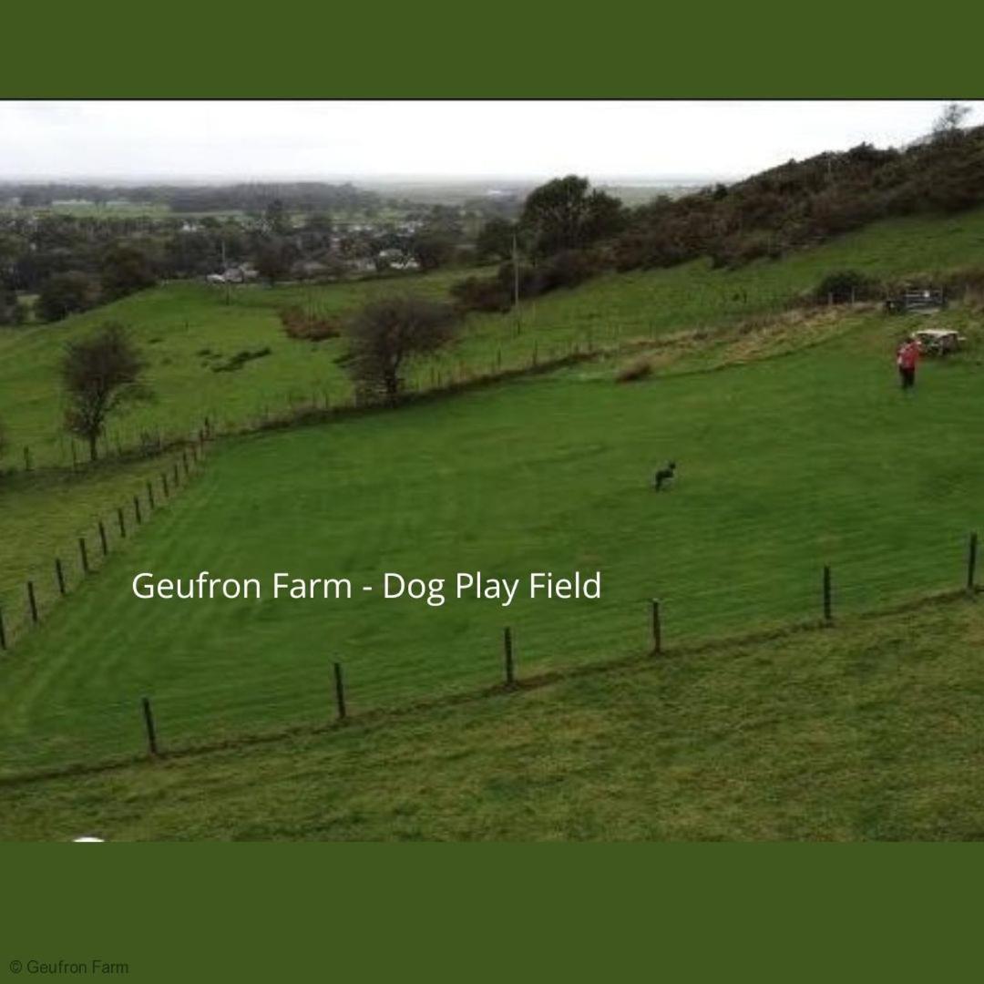 Dog Friendly Cottage, Geufron Farm Near Tywyn Bryn-crug المظهر الخارجي الصورة