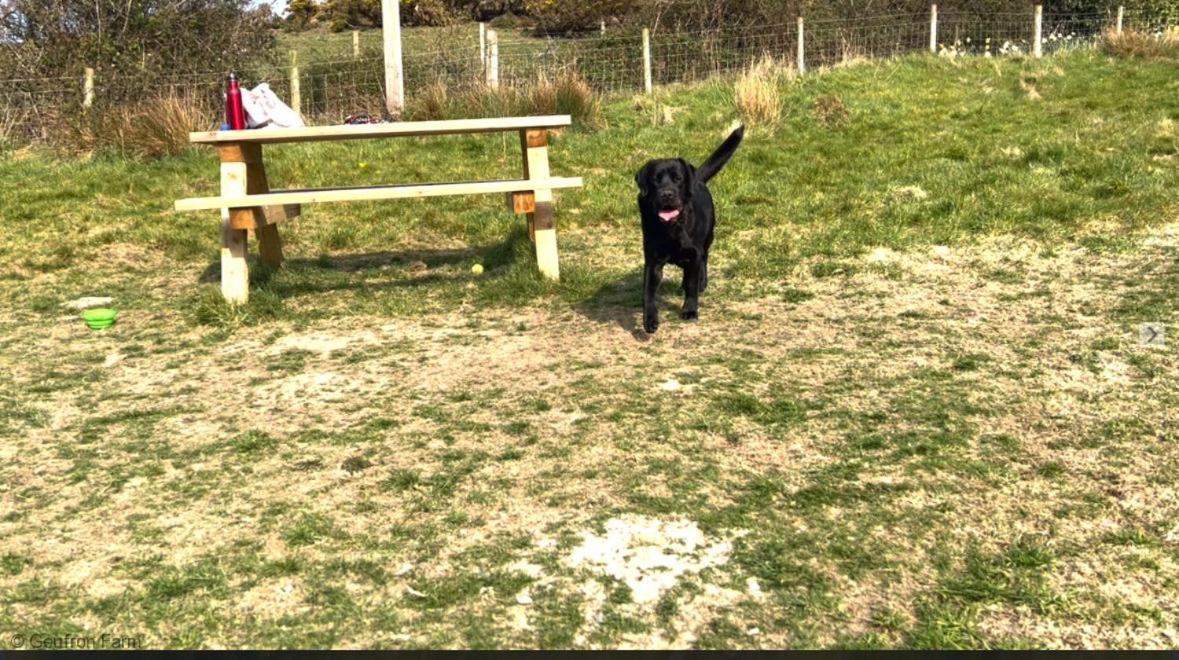Dog Friendly Cottage, Geufron Farm Near Tywyn Bryn-crug المظهر الخارجي الصورة